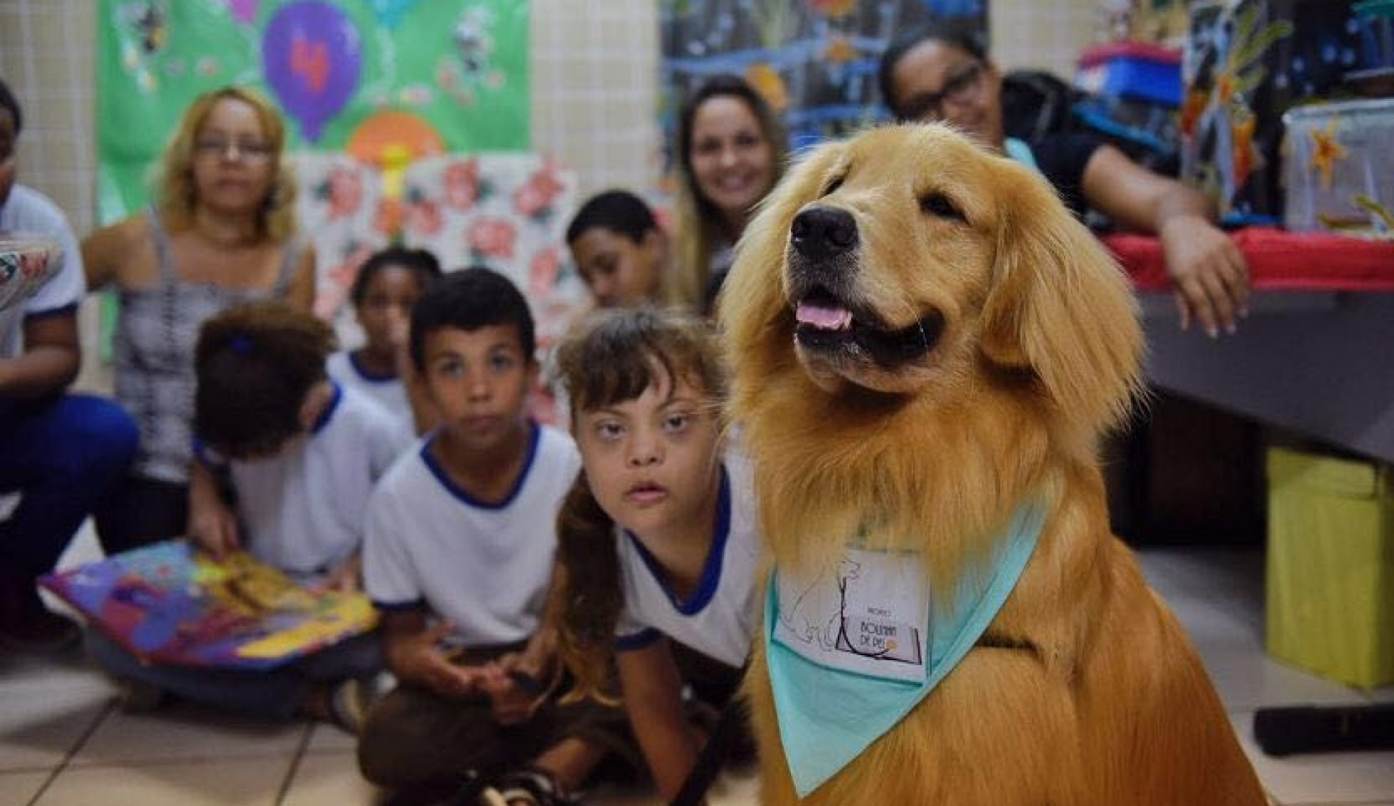 Taa Terapia Assistida Por Animais O Que E Como Funciona Educa O